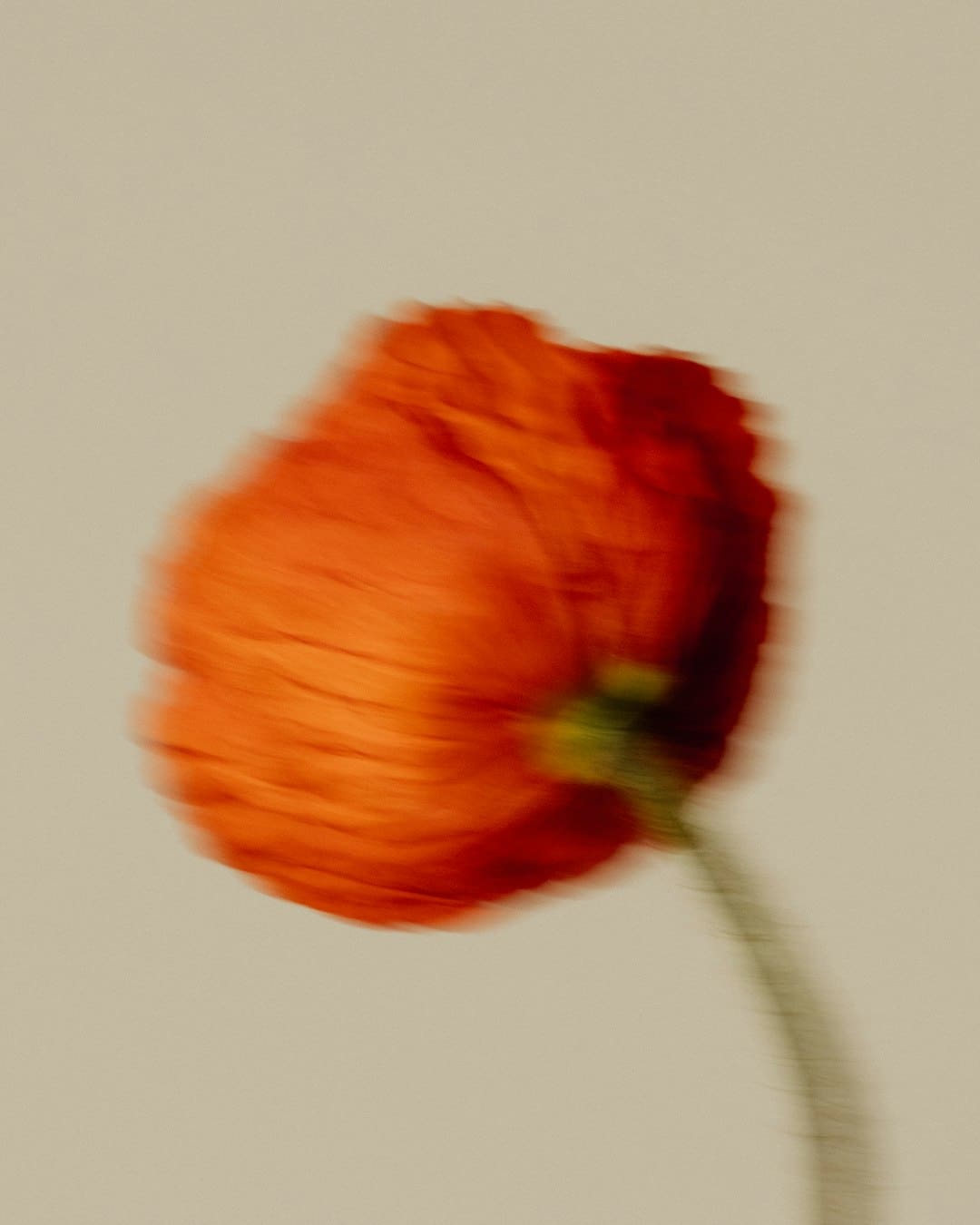 http://n.sinaimg.cn/news/transform/w600h400/20180309/81zJ-fxpwyhw1695221.jpg?zdy